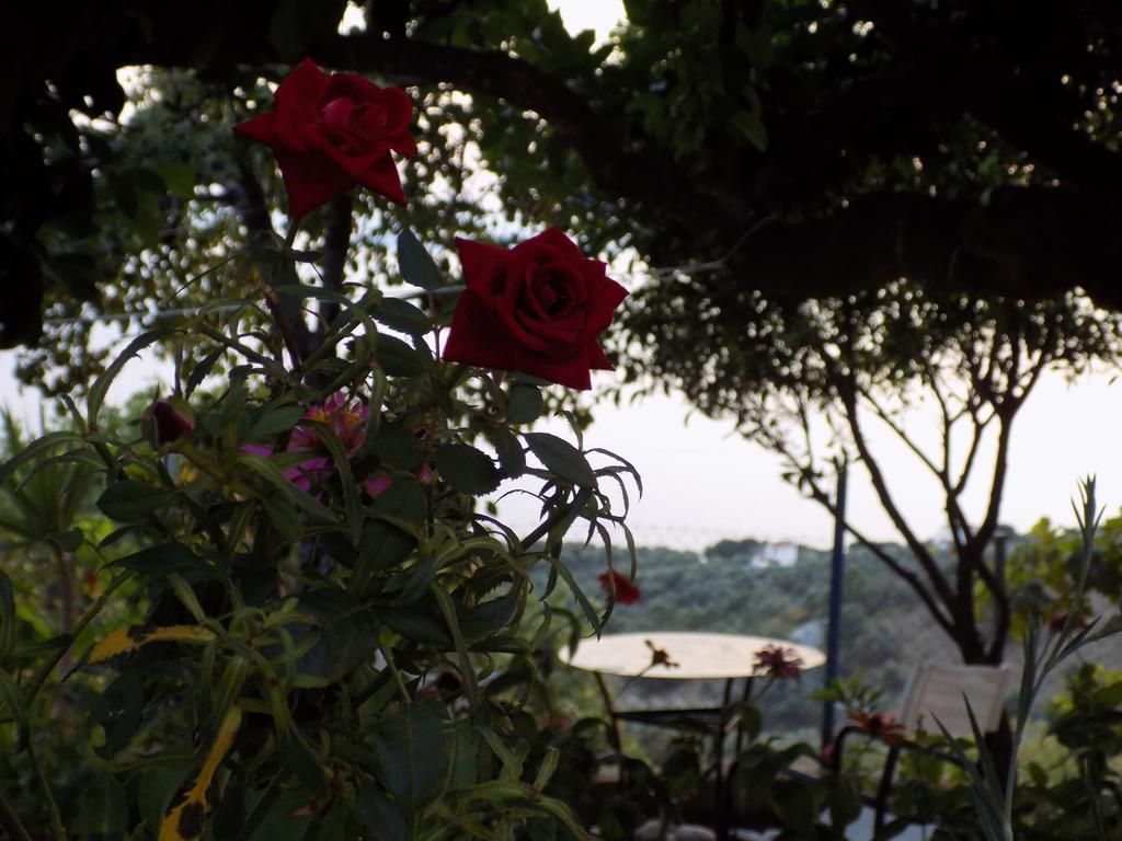 Angelinas House Hotel Glossa Bagian luar foto